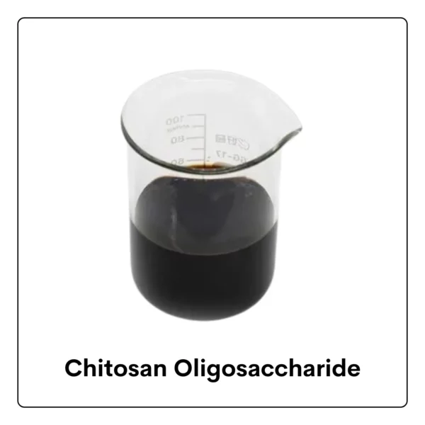 Chitosan Oligosaccharide