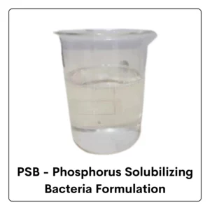 Phosphorus Solubilizing Bacteria