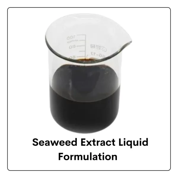 Seaweed Extract Liquid Formulation