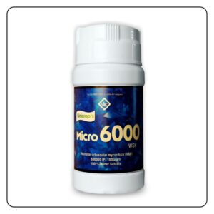 Micro-6000