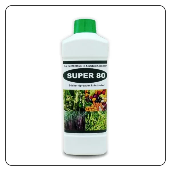 Super 80