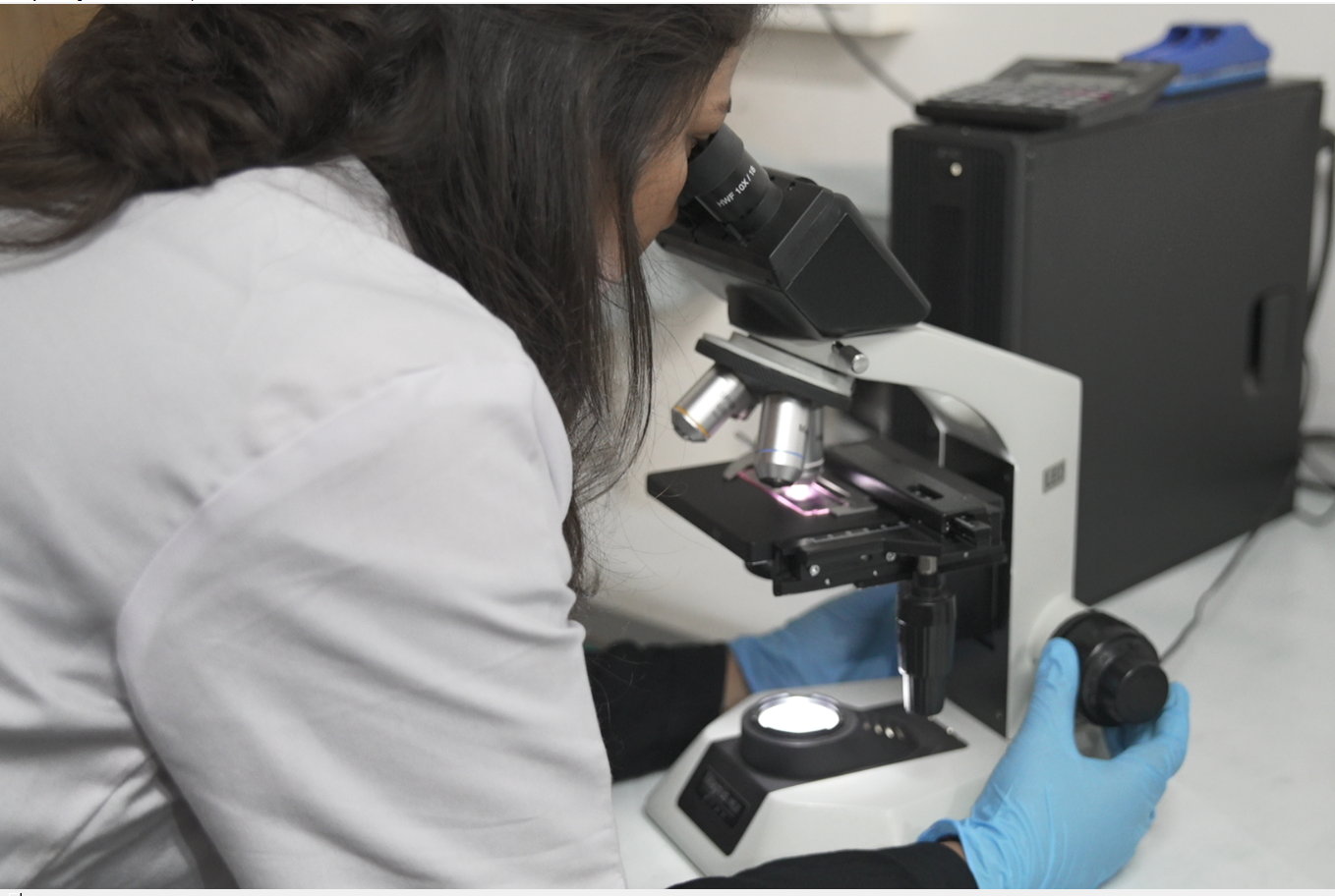 Research Scientist at Work