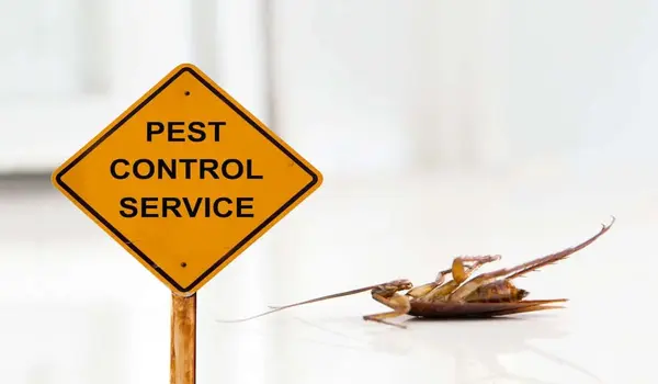 What Methods Are Best for Controlling Pest In..