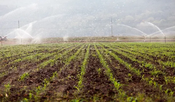 How Can Farmers Protect Their Crops from Adve..