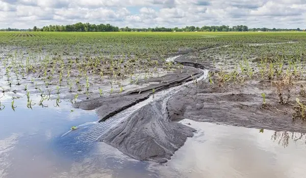 How Does Climate Change Impact Agricultural P..