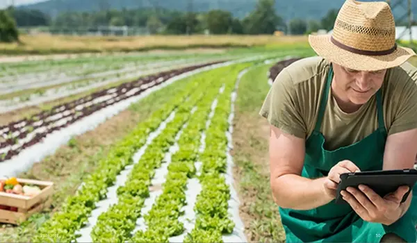 How Can Farmers Implement Sustainable Farming..