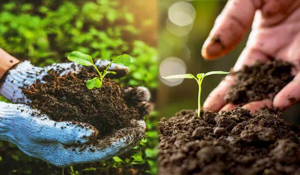 How does organic farming differentiate from o..