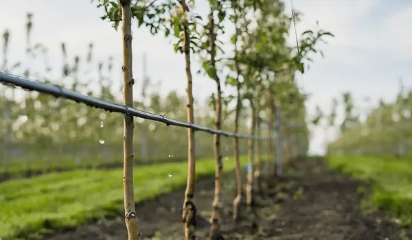 How Precision Agriculture is Revolutionizing ..