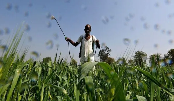 The Role of Soil Health in Sustainable Agricu..