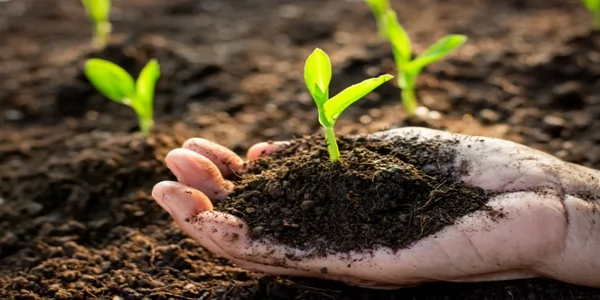 How does organic farming help prevent soil er..