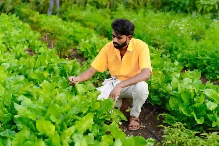 How can farmers switch from traditional to or..