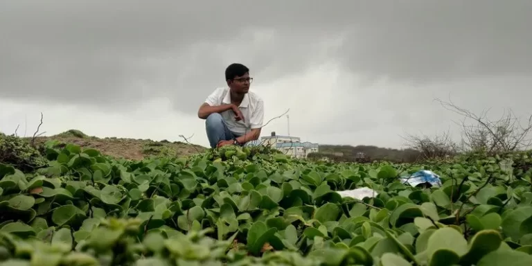 What challenges do organic farmers face?