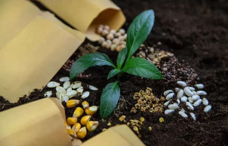 What are the advantages of using organic fert..