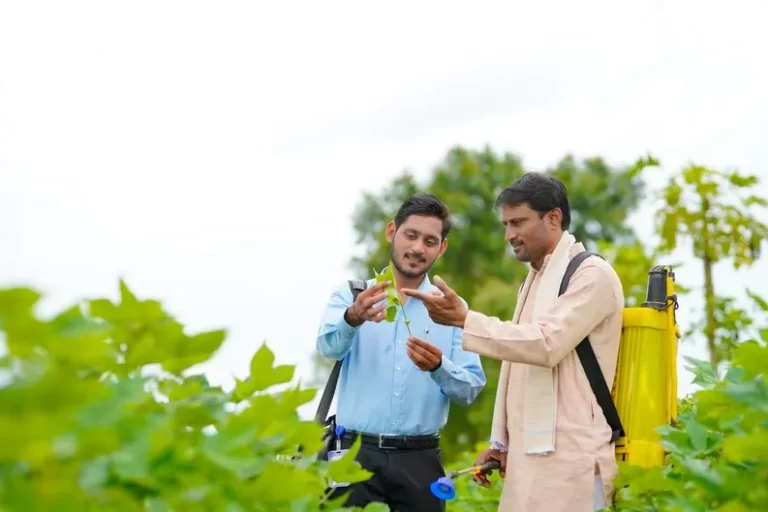 What are the best practices for organic farmi..