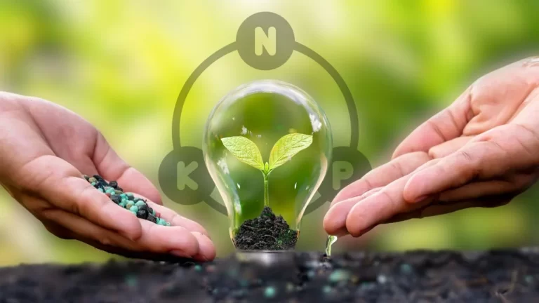 Among the agricultural offerings, Unicrop Bio..