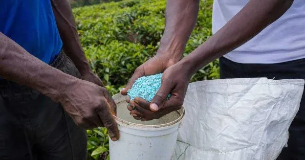 Tailoring Fertilizer Practices to Local Condi..