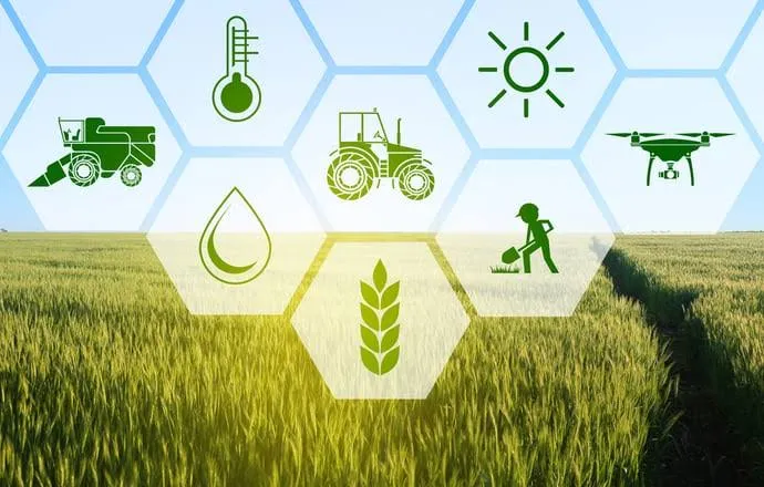 Maximizing Efficiency: The Impact of Precisio..