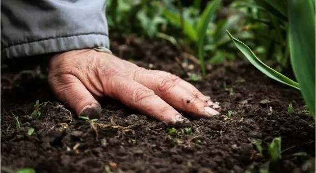 Navigating Environmental Concerns: The Impact..