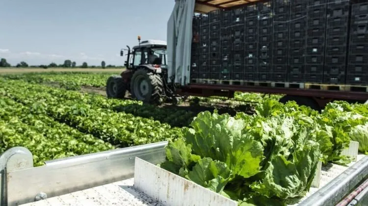 Cultivating Tomorrow: The Agricultural Revolu..