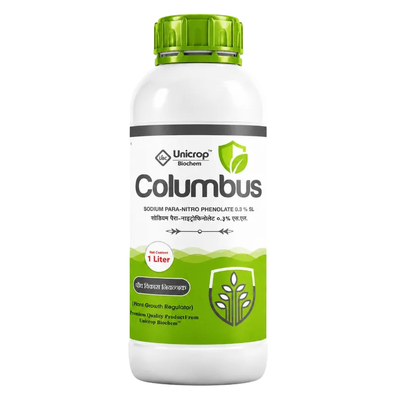 Columbus
