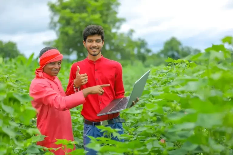 Technical team in the field