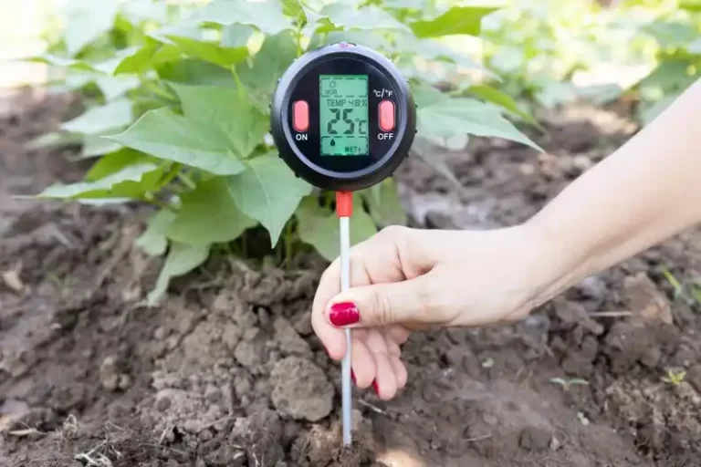 Testing soil moisture and nutrient levels in the field
