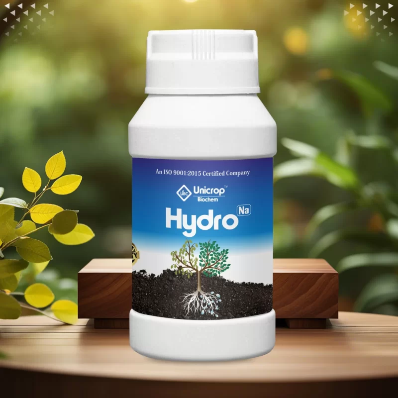 Sodium Polyacrylate Hydrogel (SAP)