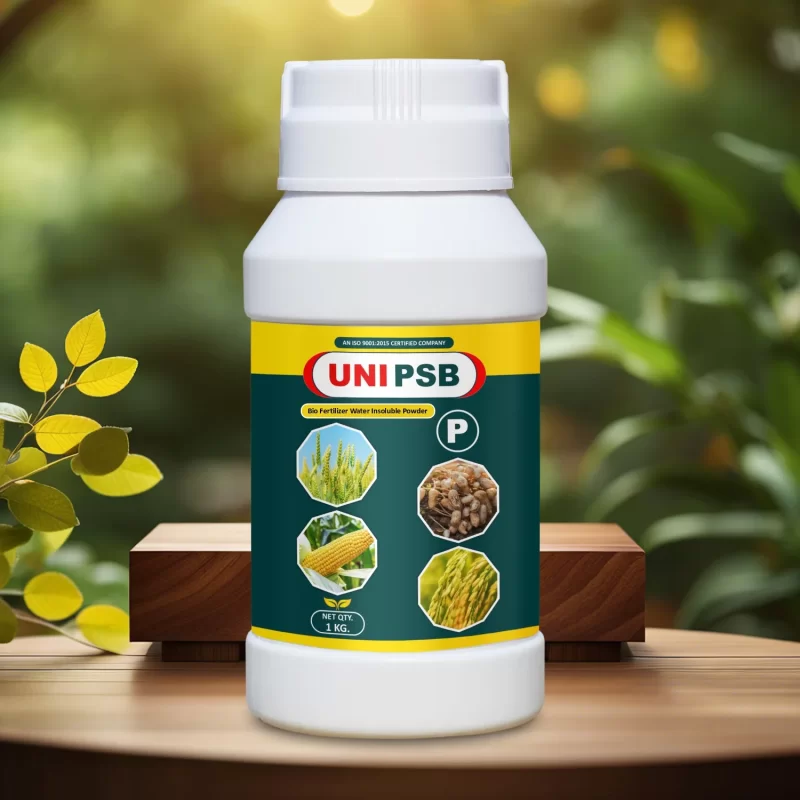 PSB WISP Biofertilizer (Bacillus megaterium)