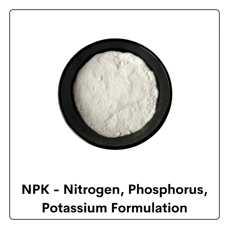 NPK Bacterial Consortium Biofertilizer