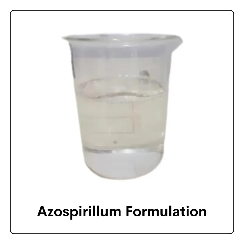 Azospirillum Biofertilizer