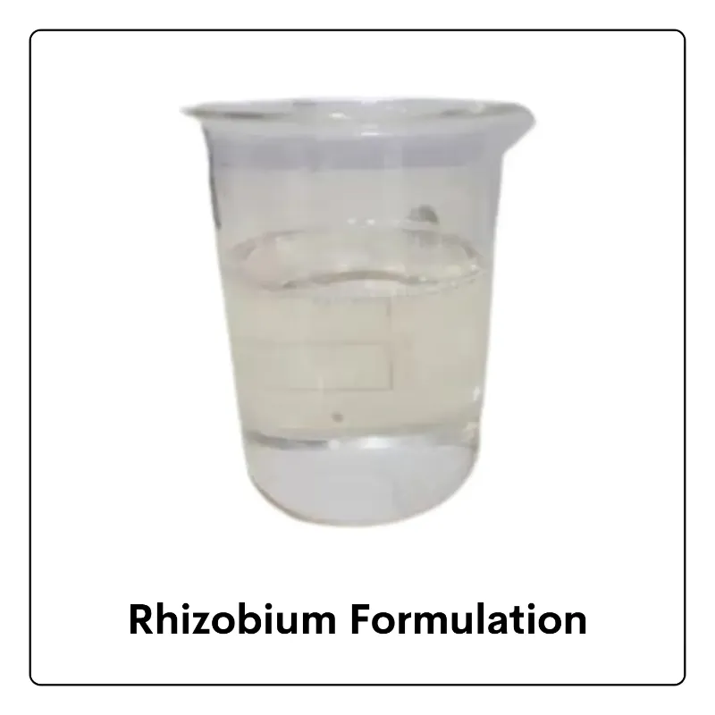 Rhizobium Biofertilizer