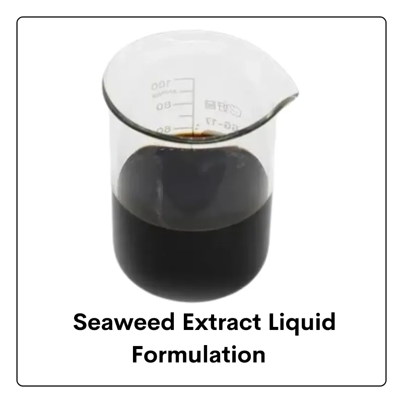 Seaweed Extract Liquid Formulation
