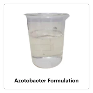 Azotobacter