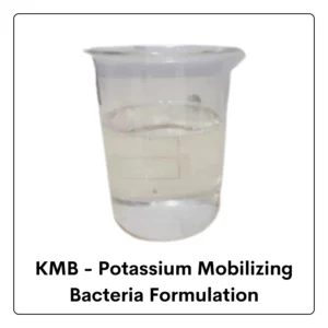 Potassium Mobilizing Bacteria