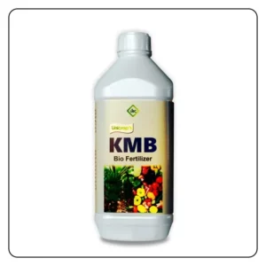 KMB